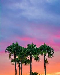 unsplash_75EFpyXu3Wg